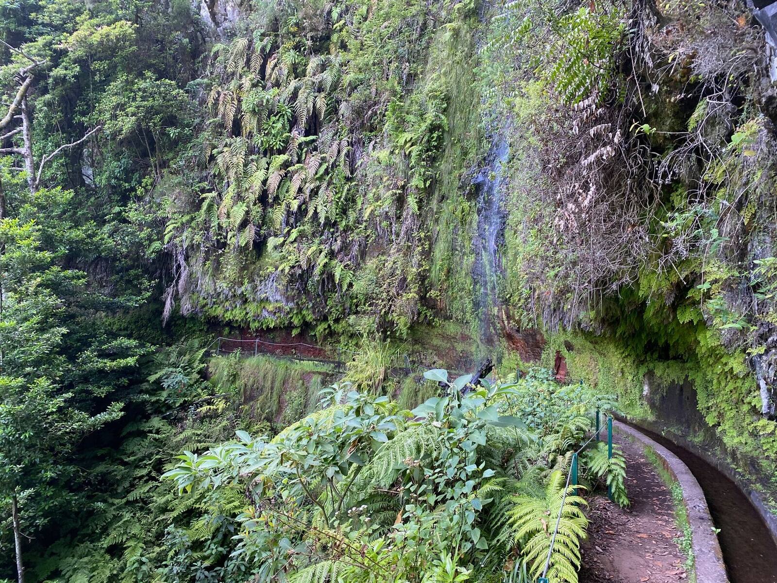 Madeira